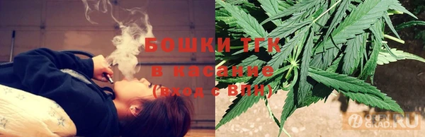 твердый Аркадак