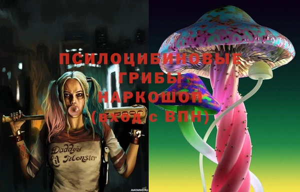 твердый Аркадак