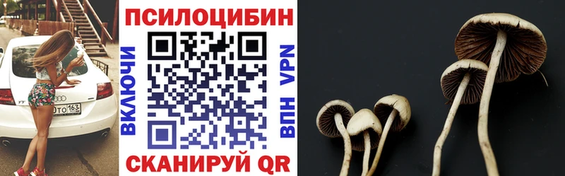 Галлюциногенные грибы Psilocybe  Пошехонье 